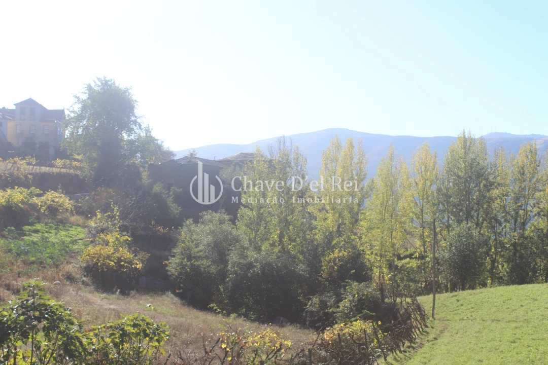 Quinta T0 para Venda em Parada de Ester e Ester Foto 5