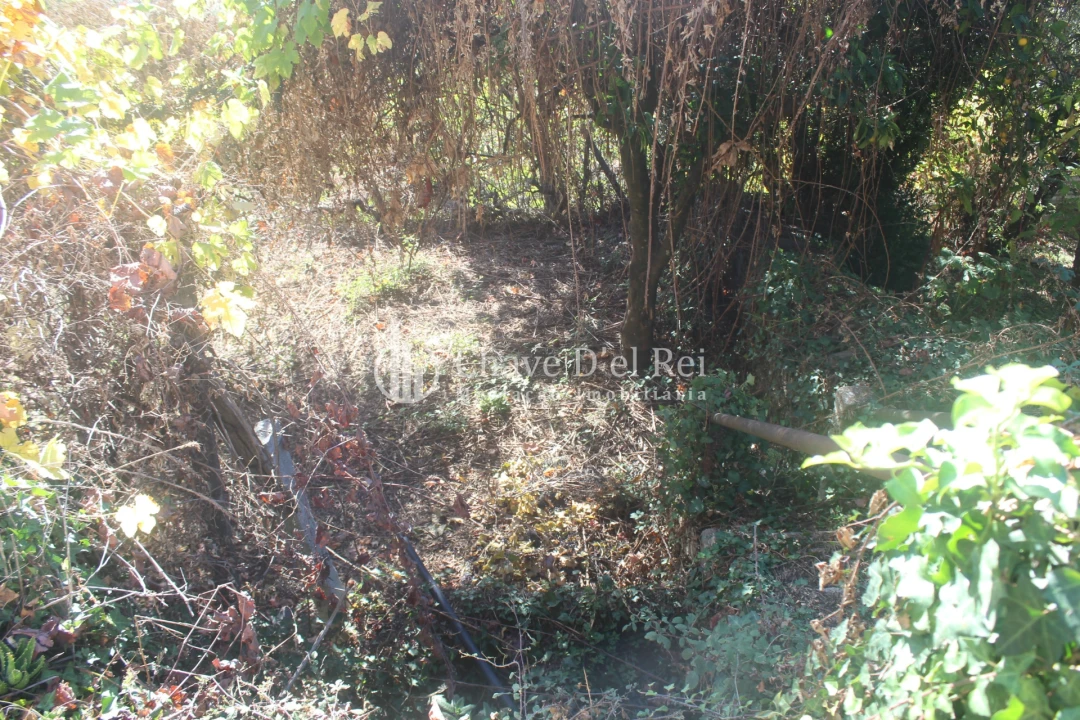 Quinta T0 para Venda em Parada de Ester e Ester Foto 3