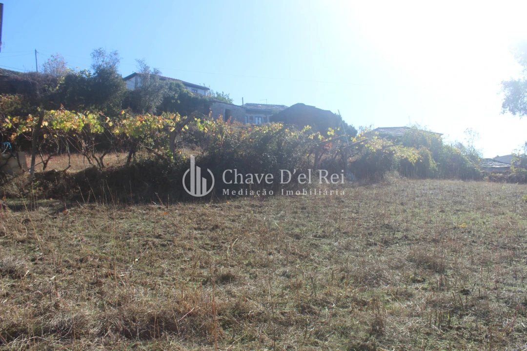 Quinta T0 para Venda em Parada de Ester e Ester Foto 14