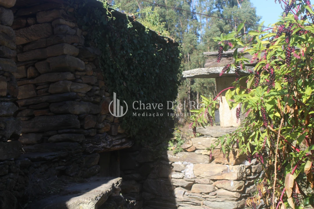 Quinta T0 para Venda em Parada de Ester e Ester Foto 1