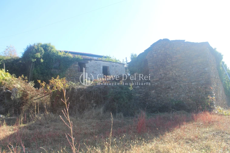 Quinta T0 para Venda em Parada de Ester e Ester Foto 12