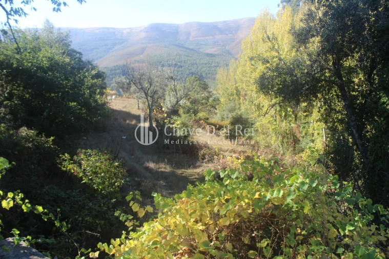 Quinta T0 para Venda em Parada de Ester e Ester Foto 19