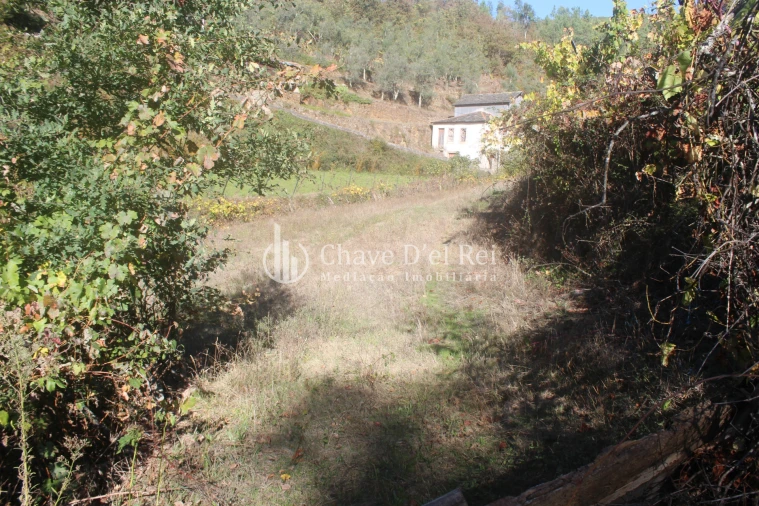 Quinta T0 para Venda em Parada de Ester e Ester Foto 17