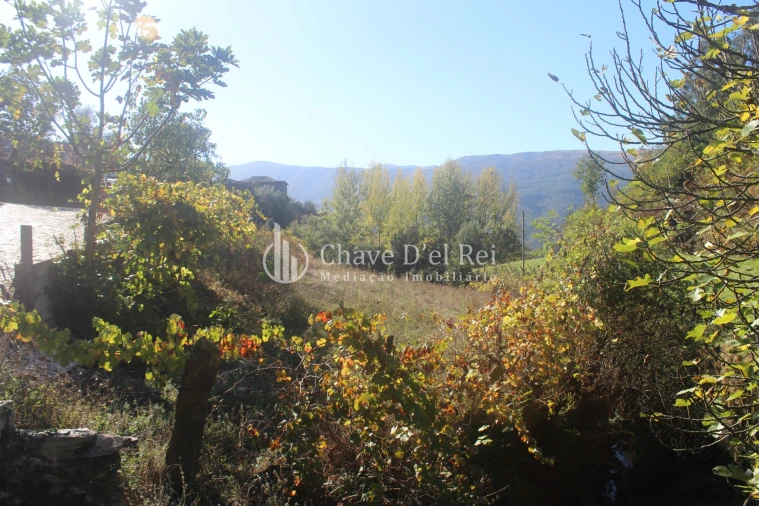 Quinta T0 para Venda em Parada de Ester e Ester Foto 4