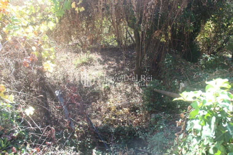 Quinta T0 para Venda em Parada de Ester e Ester Foto 3