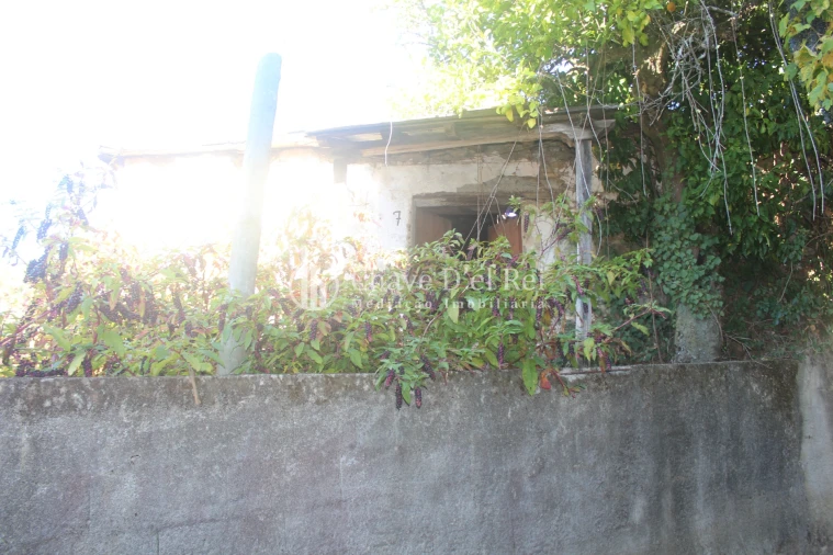 Quinta T0 para Venda em Parada de Ester e Ester Foto 20