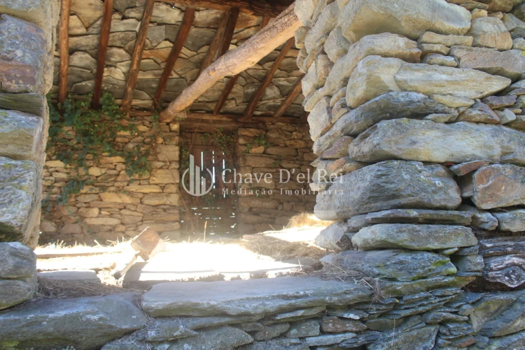 Quinta T0 para Venda em Parada de Ester e Ester Foto 11