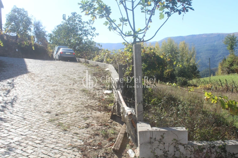 Quinta T0 para Venda em Parada de Ester e Ester Foto 8