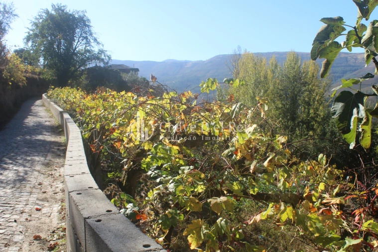 Quinta T0 para Venda em Parada de Ester e Ester Foto 9