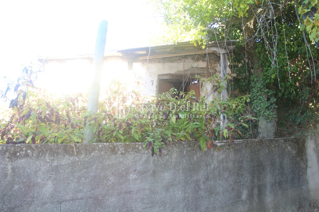 Quinta T0 para Venda em Parada de Ester e Ester Foto 20