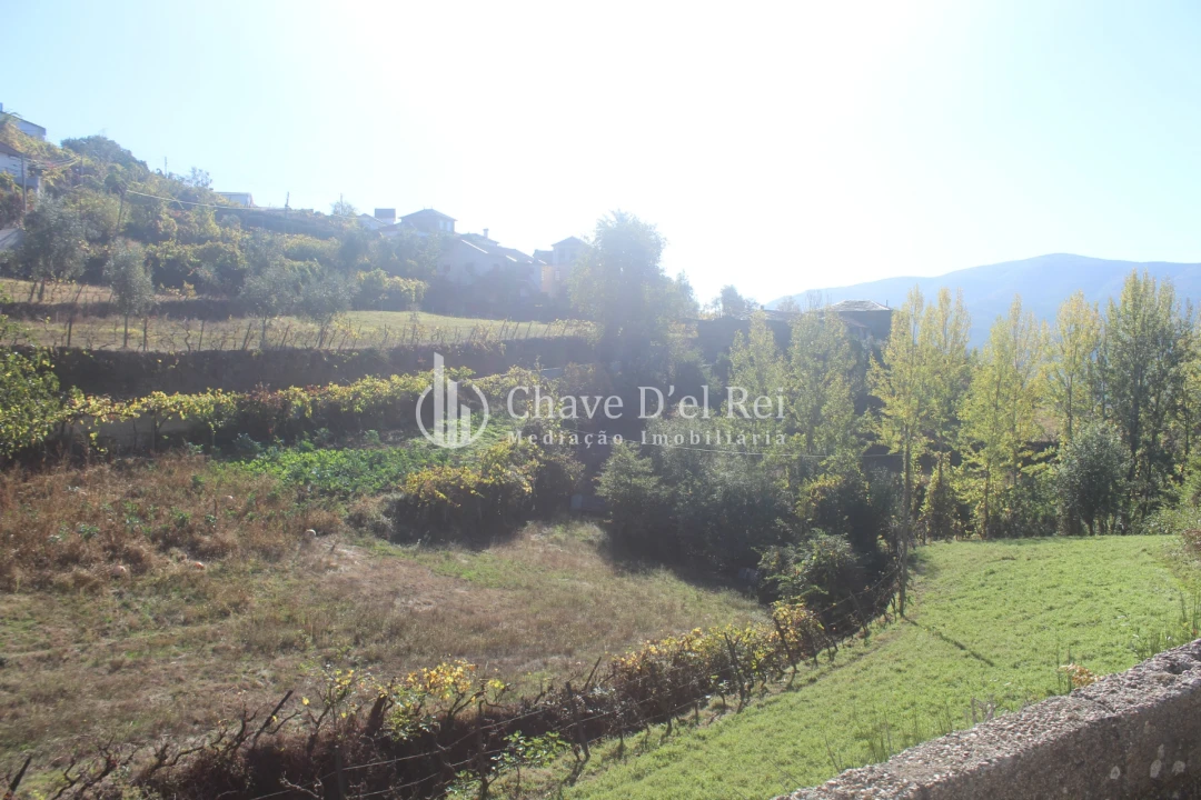 Quinta T0 para Venda em Parada de Ester e Ester Foto 6