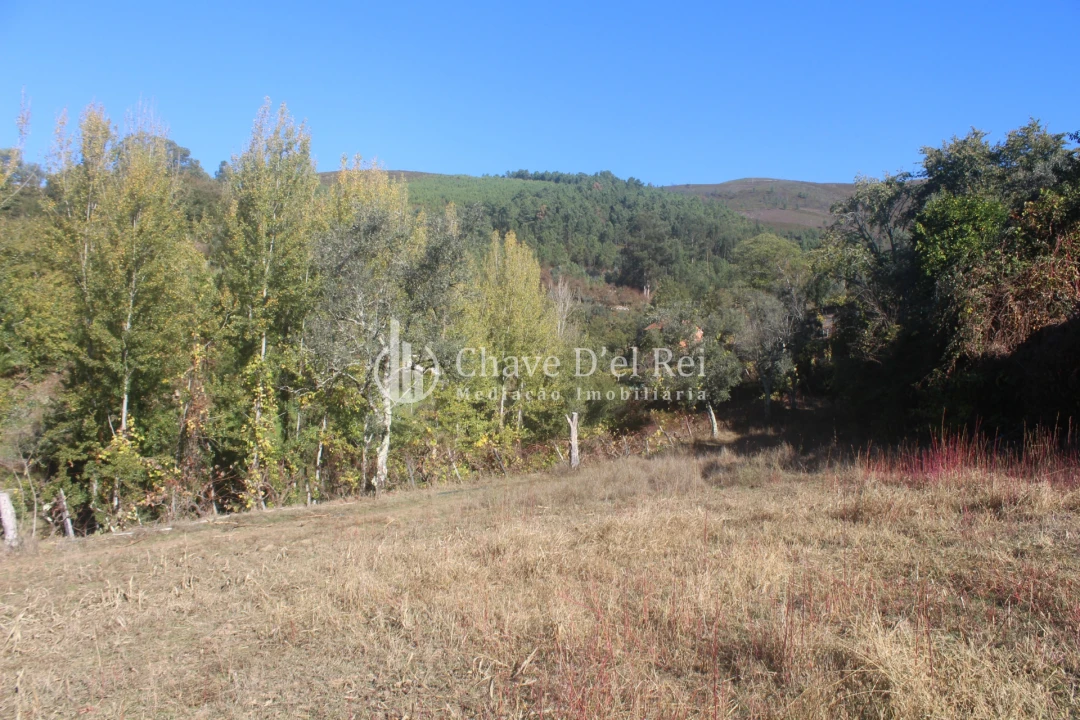 Quinta T0 para Venda em Parada de Ester e Ester Foto 13