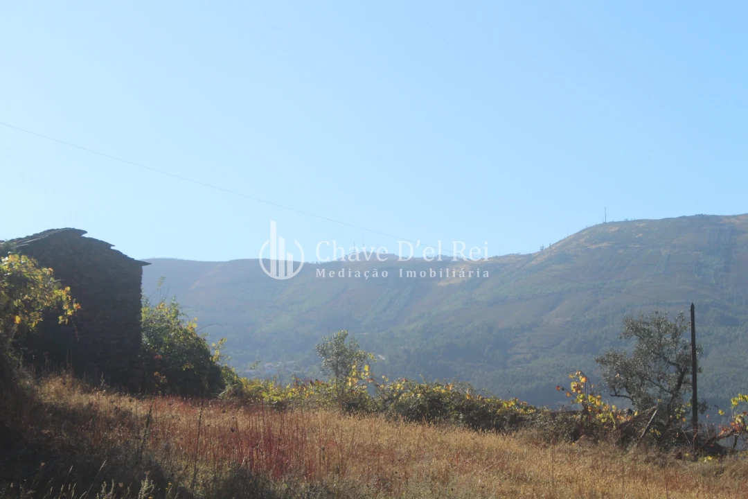 Quinta T0 para Venda em Parada de Ester e Ester Foto 21