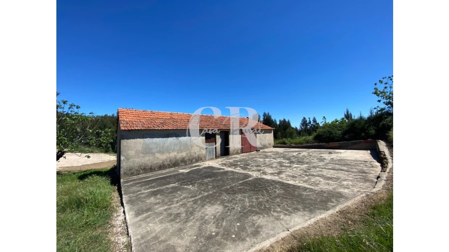 Terreno para Arrendamento em Vila Facaia Foto 7