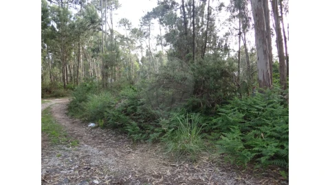 Terreno para Venda em Anta e Guetim