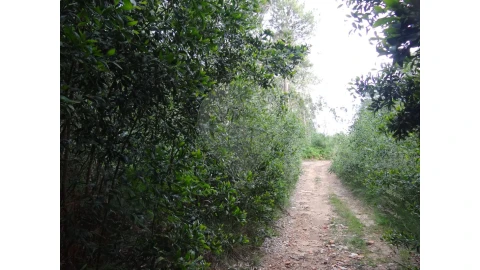 Terreno para Venda em Anta e Guetim