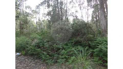Terreno para Venda em Anta e Guetim
