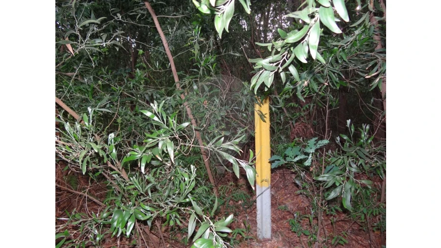 Terreno para Venda em Anta e Guetim Foto 3