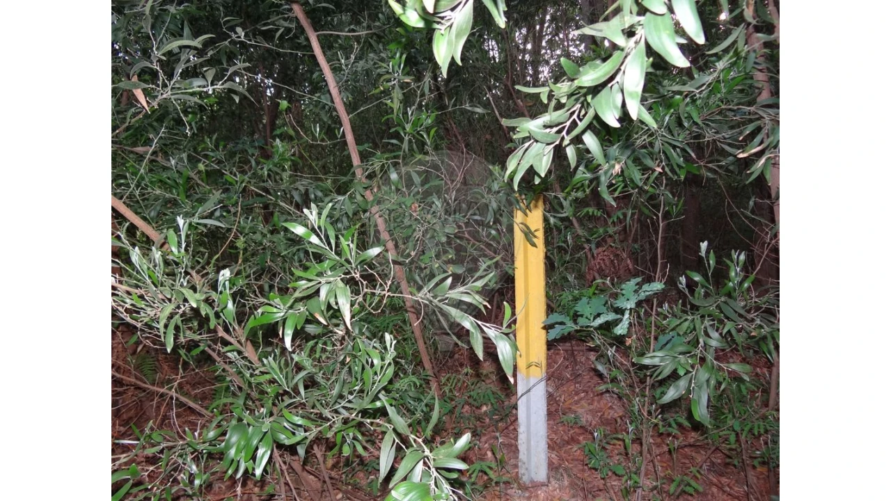 Terreno para Venda em Anta e Guetim Foto 3