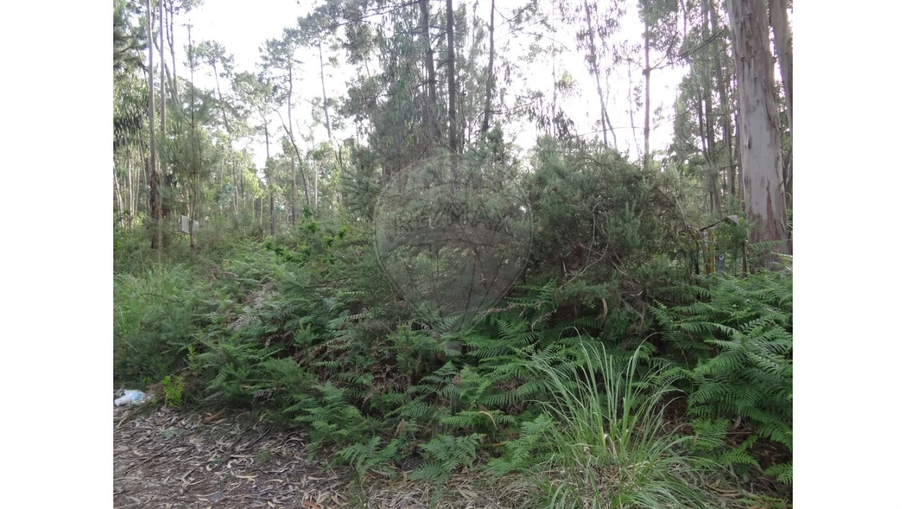 Terreno para Venda em Anta e Guetim Foto 1