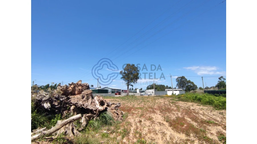 Terreno para Venda em Serzedo e Perosinho Foto 5