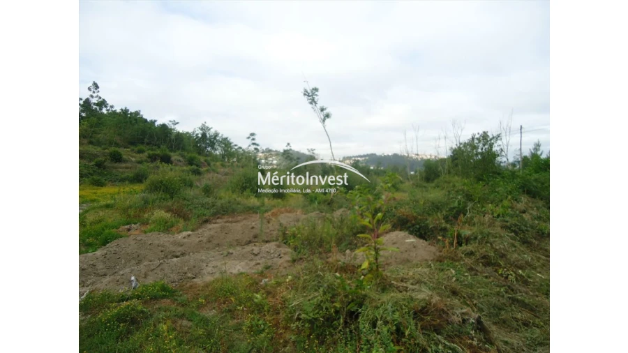 Terreno para Venda em Atães e Rendufe