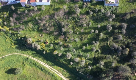 Terreno Agricola ou Rústico para Venda em Marvila, Ribeira Santarém, São Salvador, São Nicolau