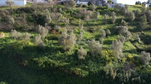 Terreno Agricola ou Rústico para Venda em Marvila, Ribeira Santarém, São Salvador, São Nicolau
