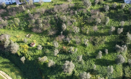 Terreno Agricola ou Rústico para Venda em Marvila, Ribeira Santarém, São Salvador, São Nicolau