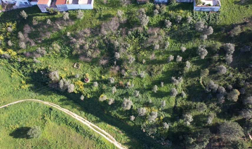 Terreno Agricola ou Rústico para Venda em Marvila, Ribeira Santarém, São Salvador, São Nicolau Foto 5