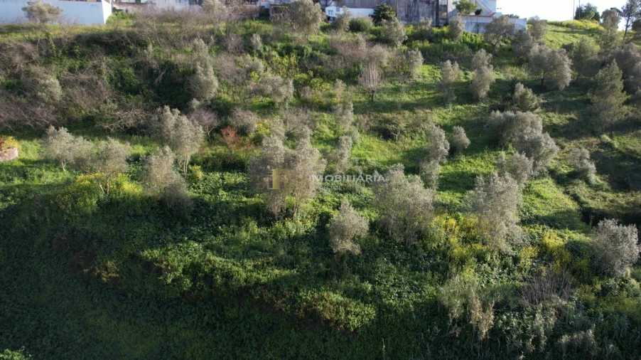 Terreno Agricola ou Rústico para Venda em Marvila, Ribeira Santarém, São Salvador, São Nicolau Foto 2