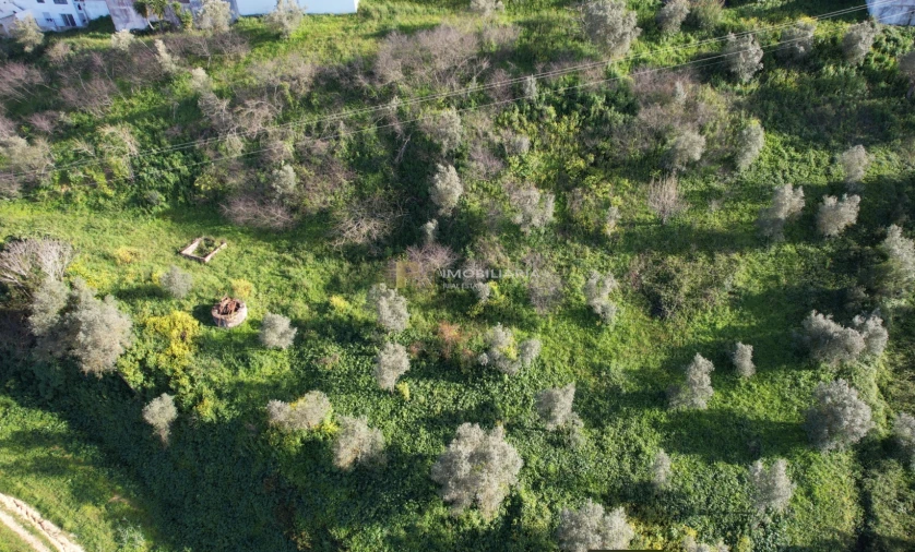 Terreno Agricola ou Rústico para Venda em Marvila, Ribeira Santarém, São Salvador, São Nicolau Foto 4