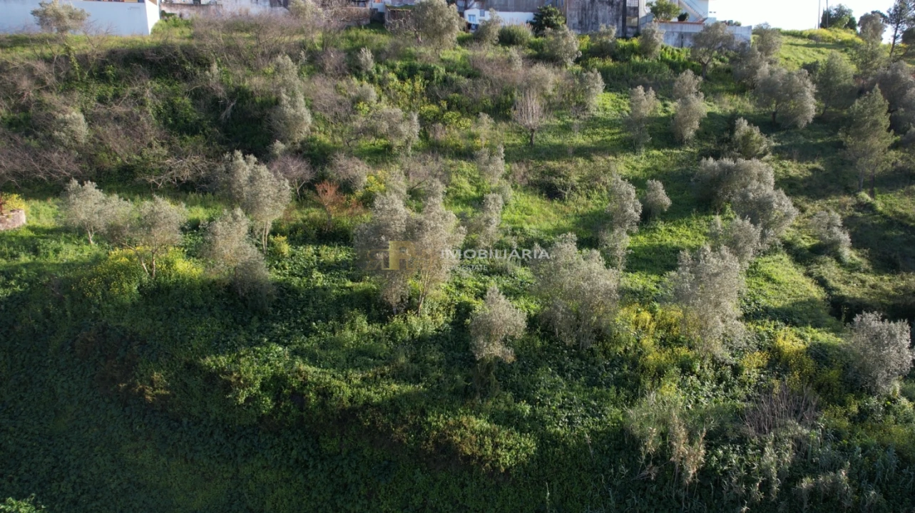 Terreno Agricola ou Rústico para Venda em Marvila, Ribeira Santarém, São Salvador, São Nicolau Foto 2