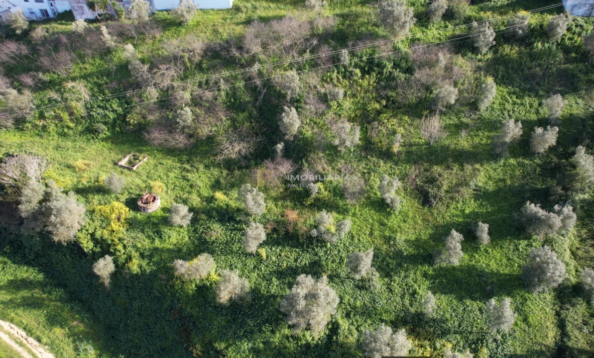 Terreno Agricola ou Rústico para Venda em Marvila, Ribeira Santarém, São Salvador, São Nicolau Foto 4