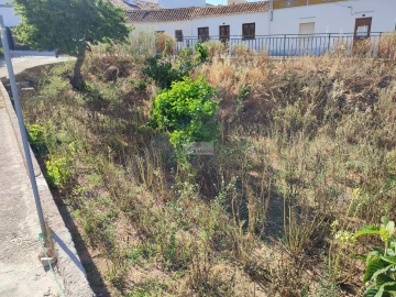 Terreno para Venda em Barão de São Miguel