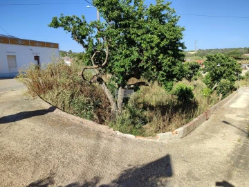 Terreno para Venda em Barão de São Miguel