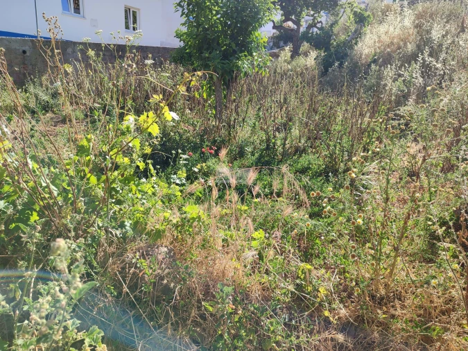 Terreno para Venda em Barão de São Miguel Foto 2