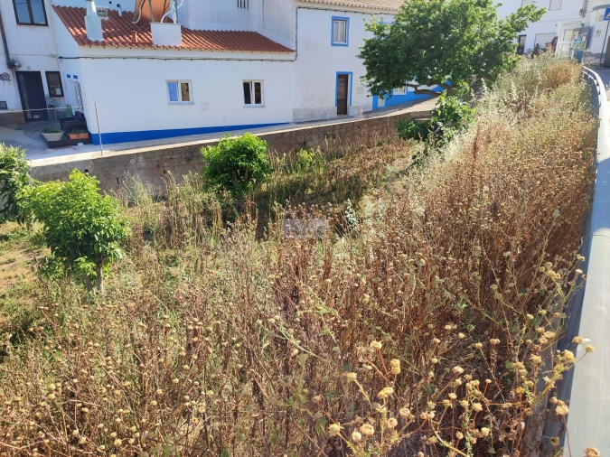 Terreno para Venda em Barão de São Miguel Foto 5