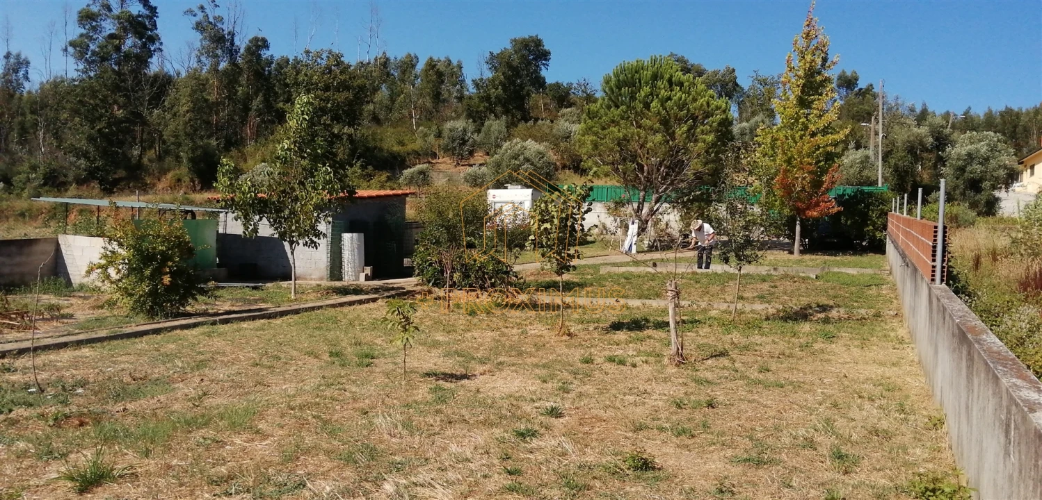 Terreno para Venda em Lousã e Vilarinho Foto 13