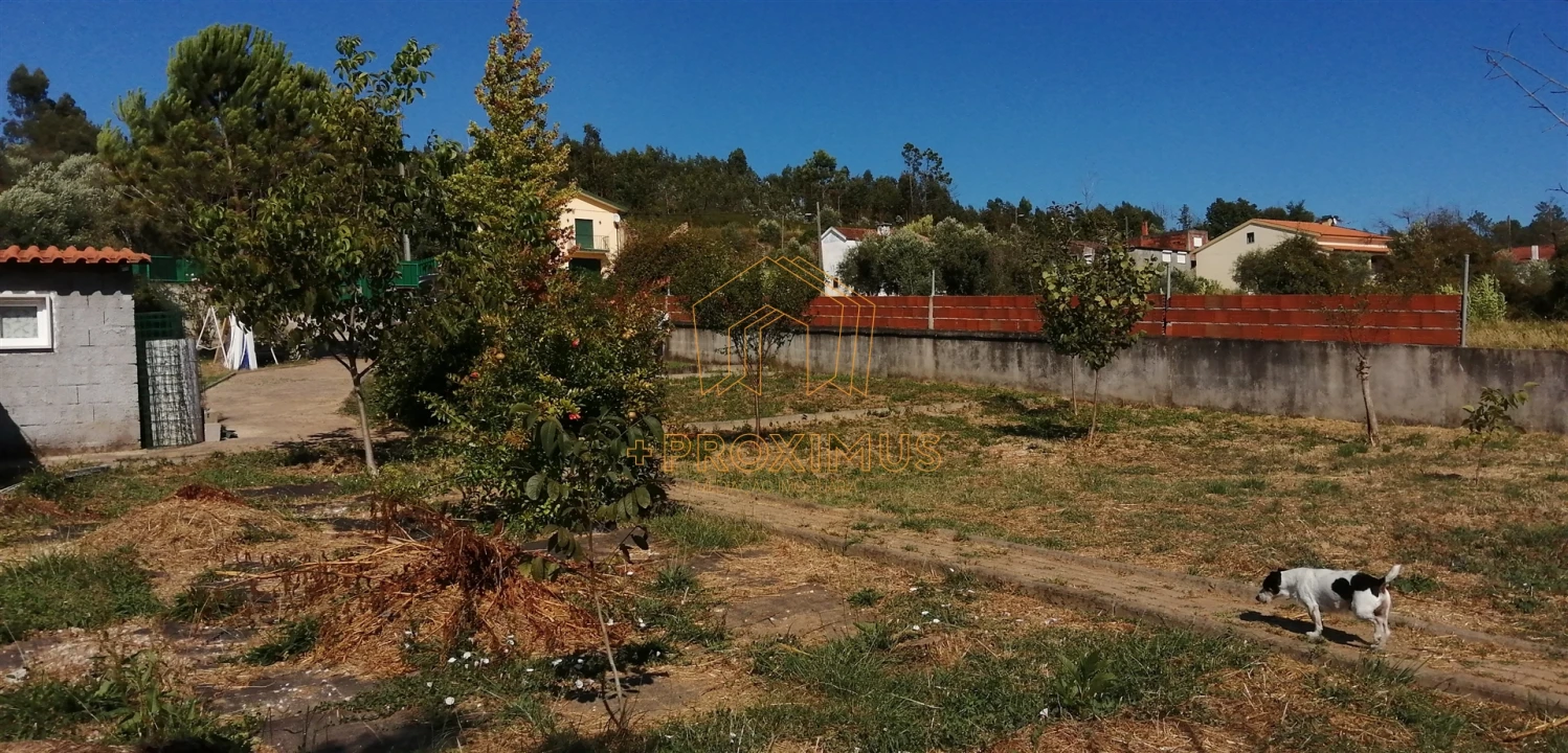 Terreno para Venda em Lousã e Vilarinho Foto 14
