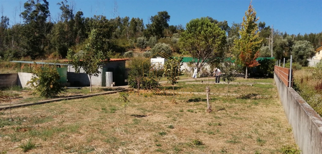 Terreno para Venda em Lousã e Vilarinho Foto 13