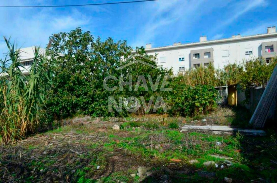 Terreno P/ Prédio para Venda em Ajuda Foto 1