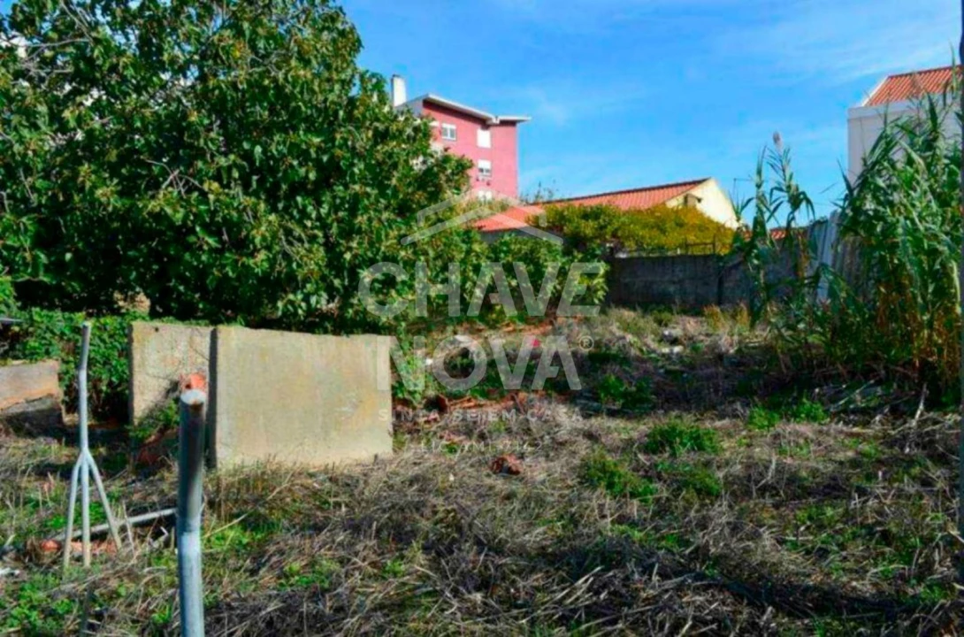 Terreno P/ Prédio para Venda em Ajuda Foto 9