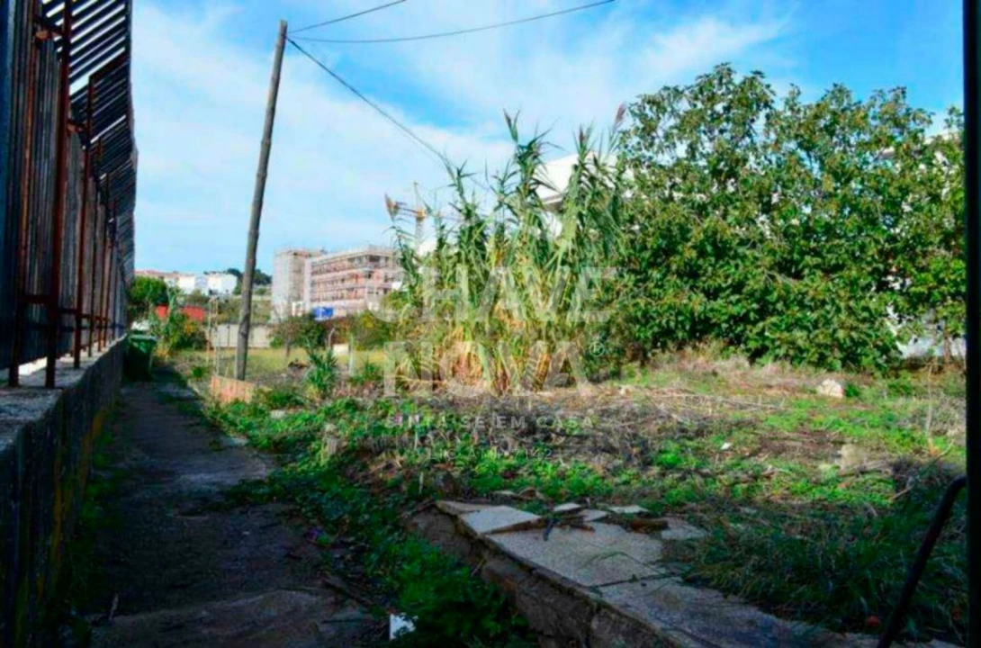 Terreno P/ Prédio para Venda em Ajuda Foto 11