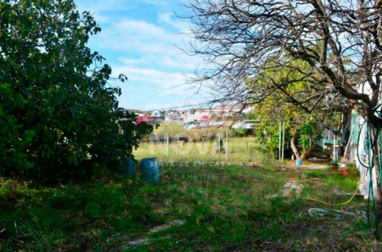Terreno P/ Prédio para Venda em Ajuda Foto 4