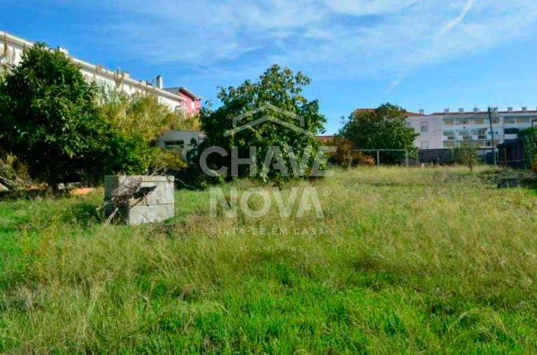 Terreno P/ Prédio para Venda em Ajuda Foto 5