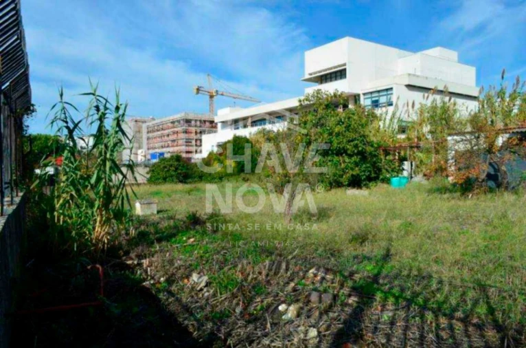 Terreno P/ Prédio para Venda em Ajuda Foto 3