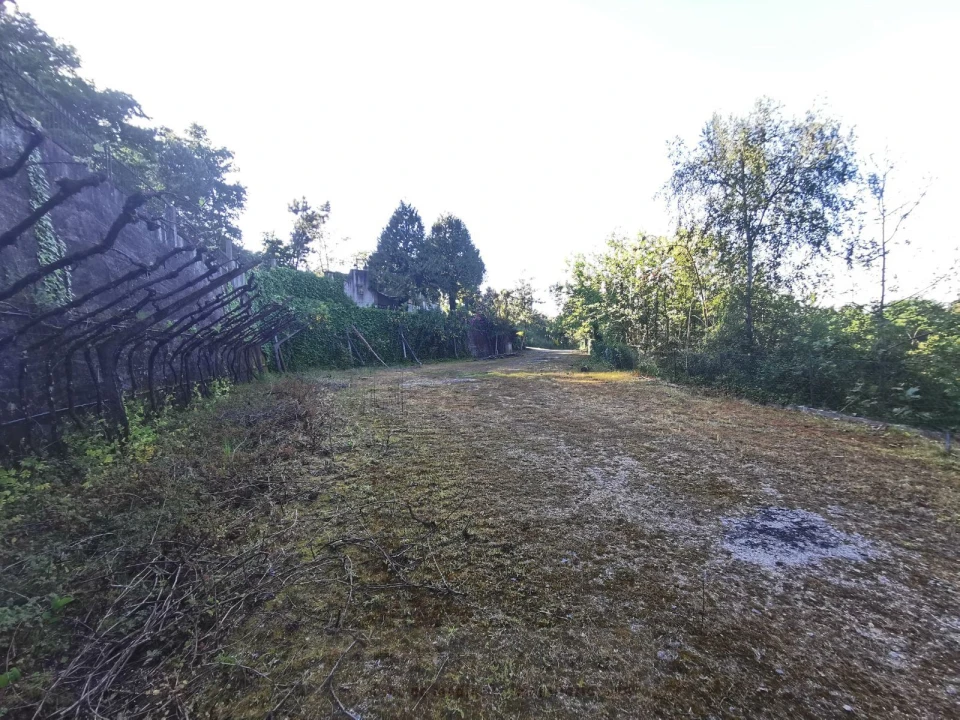 Quinta T1 para Venda em Amarante (São Gonçalo), Madalena, Cepelos e Gatão Foto 4