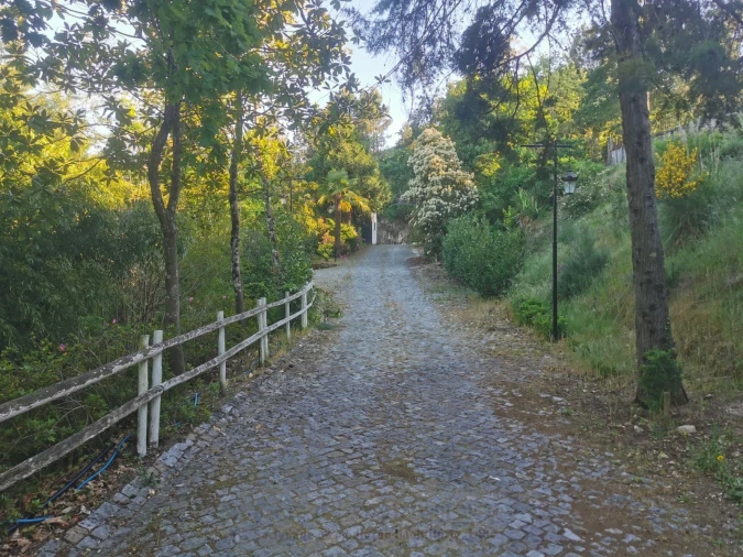 Quinta T1 para Venda em Amarante (São Gonçalo), Madalena, Cepelos e Gatão Foto 2