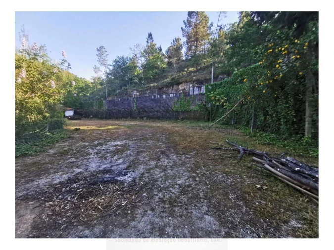 Quinta T1 para Venda em Amarante (São Gonçalo), Madalena, Cepelos e Gatão Foto 3